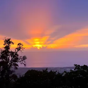 Mango Sunset Kalaoa