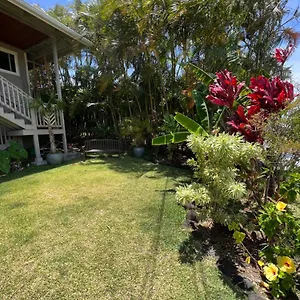 Private Ohana On The Lush Hamakua Coast With Ac Honokaa